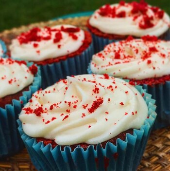 IG: @gordo.to ¡Animate a algo