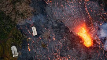 Temen que el avance de