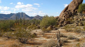 La zona se encuentra en