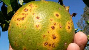 La capacidad destructiva que tiene