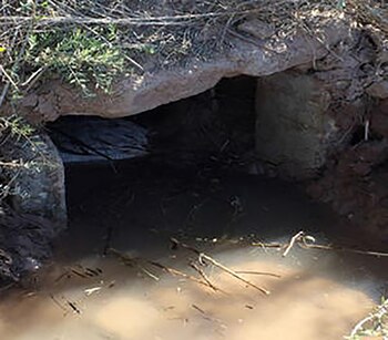 Una de las salidas del