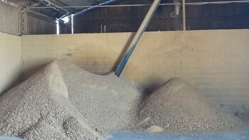 La soja incautada permanecerá en