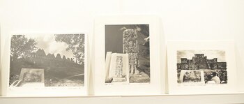 “Serie El proyecto Catherwood”, de