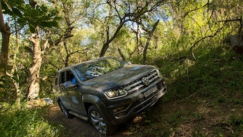 Los participantes se interiorizan sobre