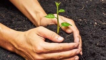 La alimentación sostenible es una de las prioridades de la cumbre