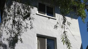 Imagen 3TBR7FSEPNC5FCDN7OU342NPPI