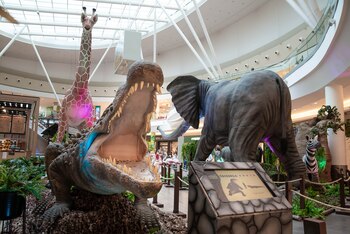 La excursión es ideal para