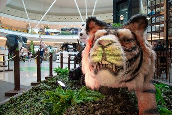 Una de las actividades es