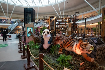 La exhibición es interactiva y