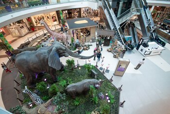 El objetivo es la transmisión