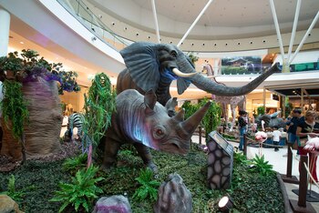 A través de la robótica,