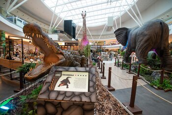 La entrada es libre y