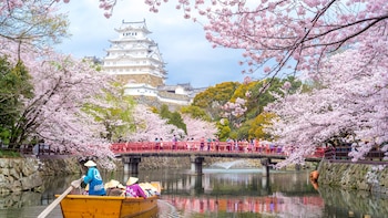 Castillo de Himeji en la