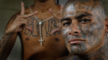 Desde 1996, México detectó la