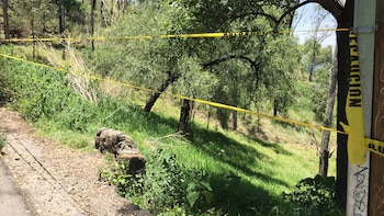 El paso al públic está