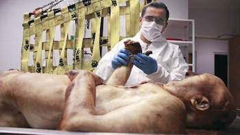 Alejandro Hernández Cárdenas, odontólogo forense