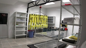 Por el laboratorio donde trabaja