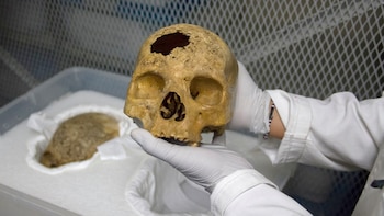 Desde los restos óseos de