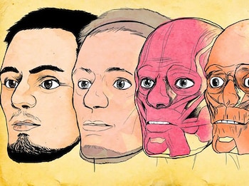 La ilustración exhibe las etapas