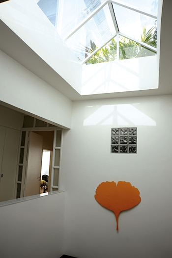 Claraboya fuente de luz(Foto: Ariel