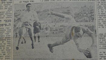 Le Loco Gatti se luce