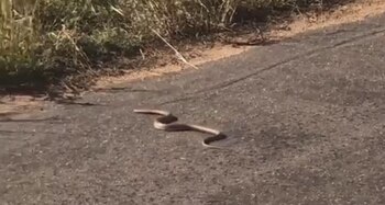 (Fotos y videos: Instagram)