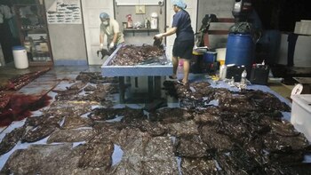 Personal del Departamento de Recursos