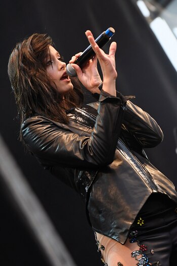 Todo el show fue seguido