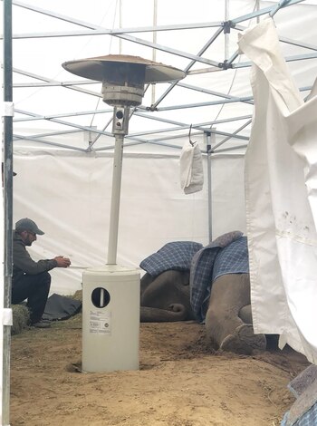 Scott Blais, director del Santuario