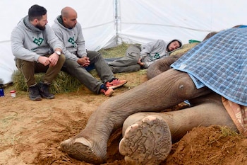 Los cuidadores llevan más de