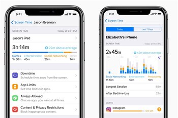El usuario podrá tener un
