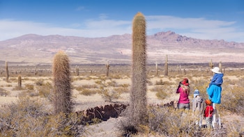 Cachi fue nombrado como uno de los ‘Pueblos Auténticos’, un programa del Ministerio de Turismo de la Nación para revalorizar la identidad de pequeños pueblos de todo el país.
