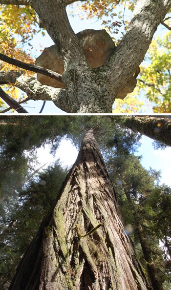 Imagen TJHVAUEOYJHH3CGWERH77BK6S4