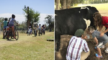 Bicicletas para toda la familia
