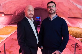 Imagen DSBHPFH3OJHEPIHSUVSPYA33XI