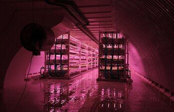 Imagen EEOGYKFVFNHBZAORK5RDD7WX5E