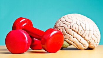 Hacer ejercicio de forma regular