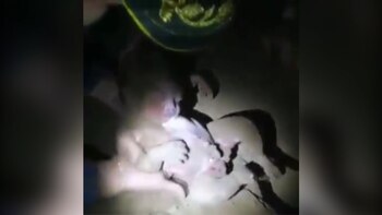 La niña fue enterrada viva y permaneció 7 horas bajo tierra