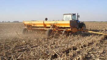 El sector está afectado, principalmente,