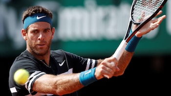 Juan Martín Del Potro (EFE)