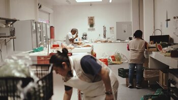 Vista general de la cocina