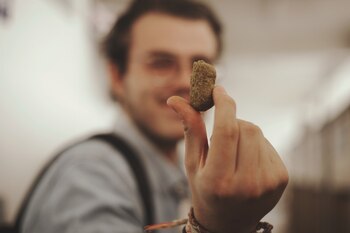 Croqueta vegana para primate, se