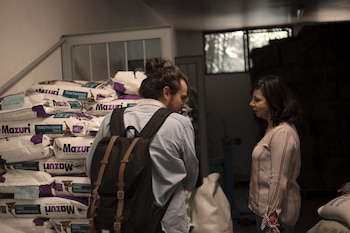 Similar al alimento para animales