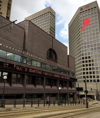 #mprraccoon. Alguien abrió en Twitter