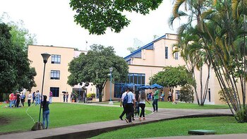 Universidad de Ibagué.