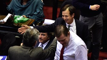 Daniel Lipovetzky votó a favor. Guillermo Montenegro, en contra. (Adrián Escandar)