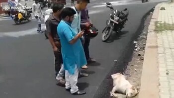 Los vecinos protestaron al ver