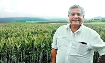 Alfonso Miranda Gallegos está en