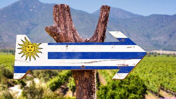 Uruguay busca ser pionero en