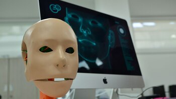 Los científicos trabajan en la